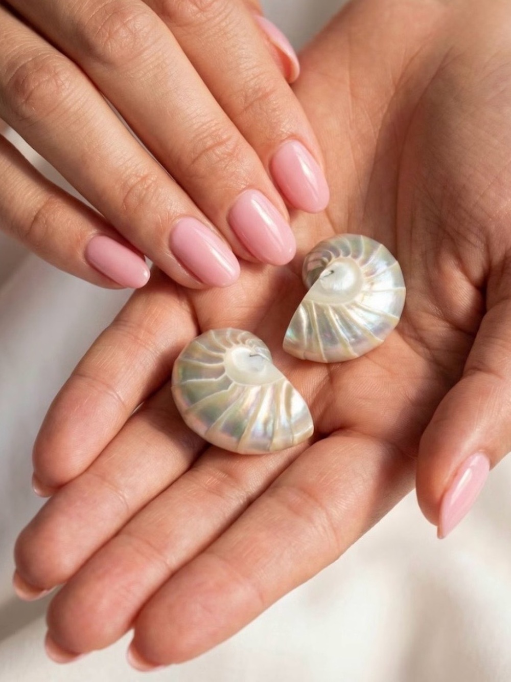 Lily Frank Nautilus Shell Earrings. Brand new!